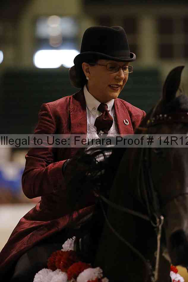 Proof Number 14r12_4912