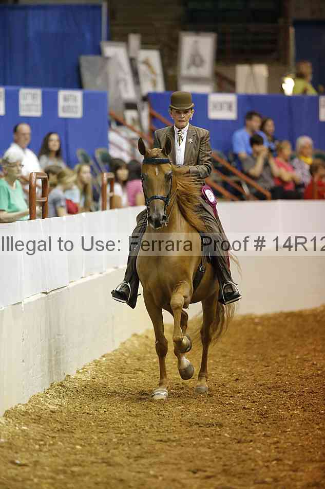 Proof Number 14r12_4916