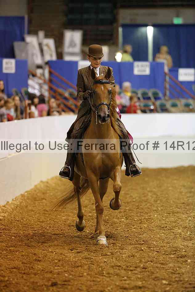 Proof Number 14r12_4917