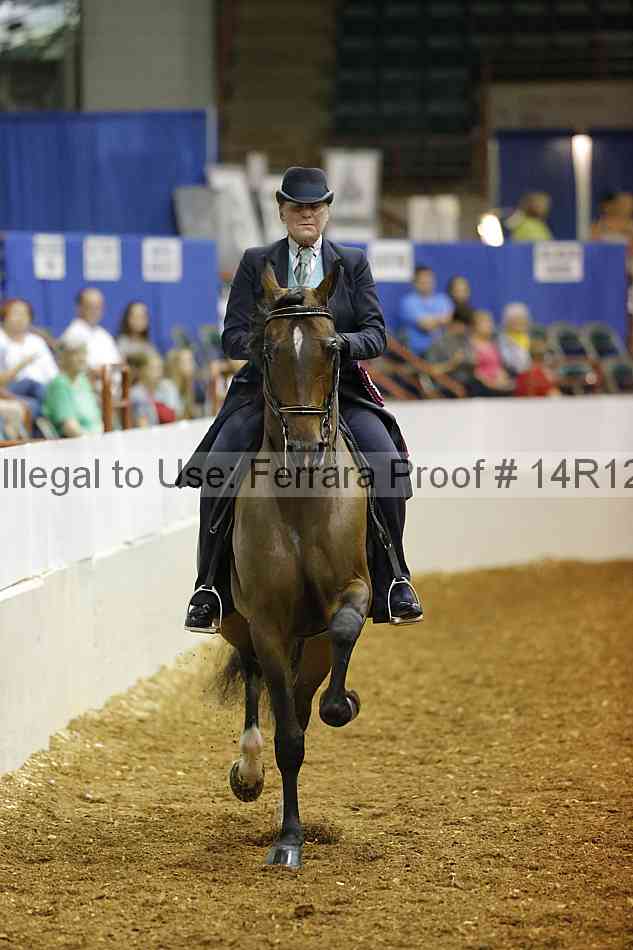 Proof Number 14r12_4924