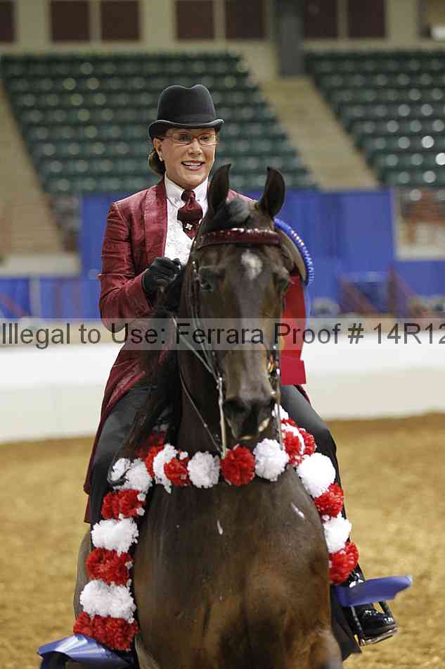 Proof Number 14r12_4932