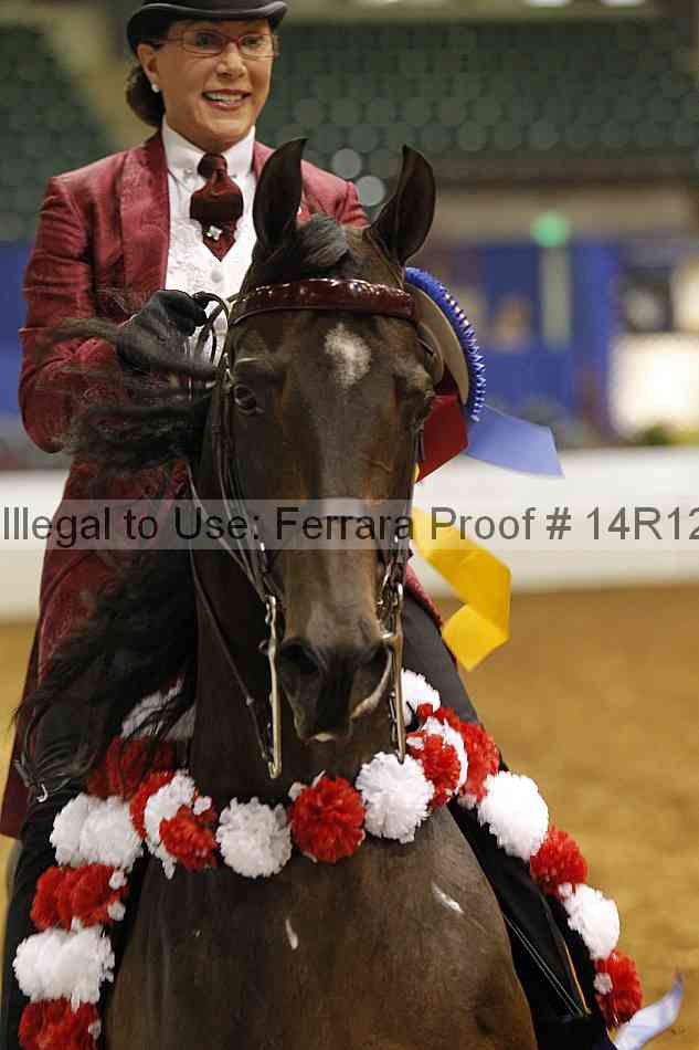 Proof Number 14r12_4933