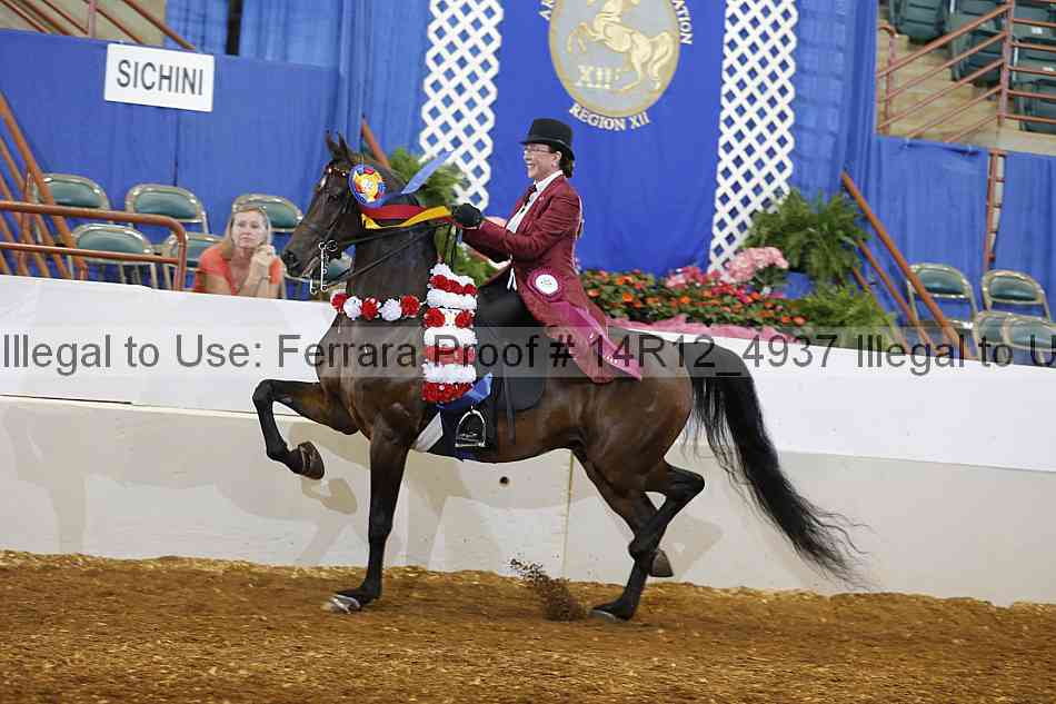 Proof Number 14r12_4937