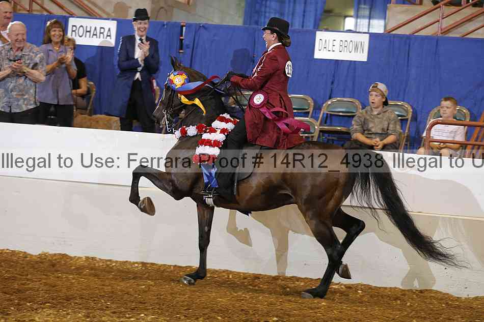 Proof Number 14r12_4938