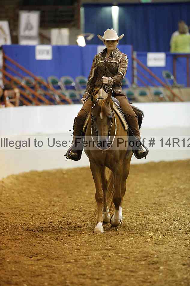 Proof Number 14r12_4951