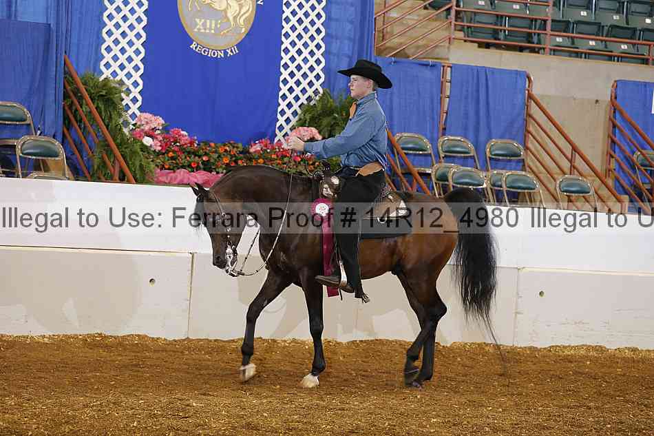 Proof Number 14r12_4980