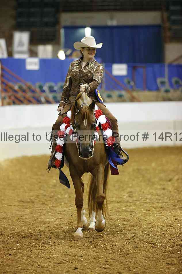 Proof Number 14r12_5003
