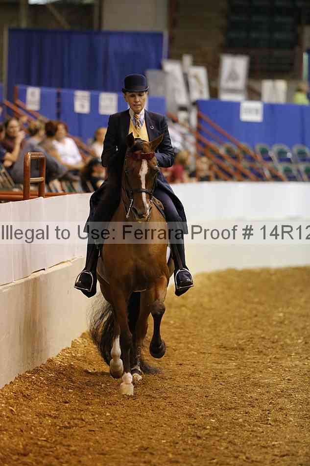 Proof Number 14r12_5022