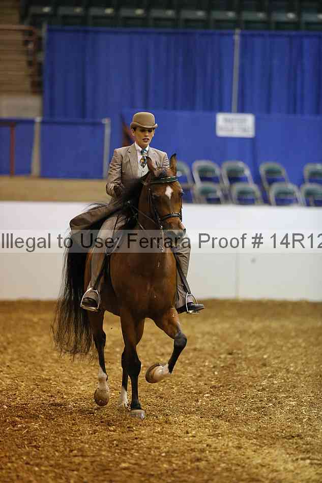 Proof Number 14r12_5025