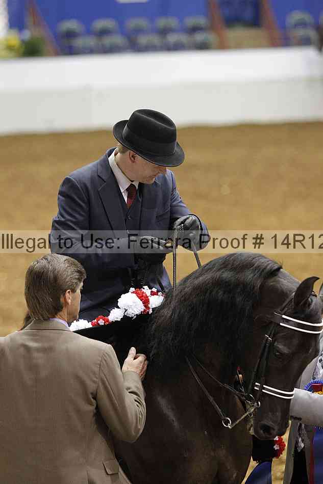 Proof Number 14r12_5037