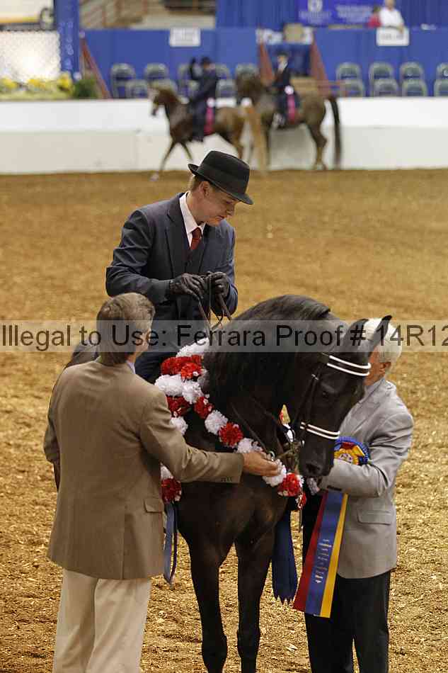 Proof Number 14r12_5038