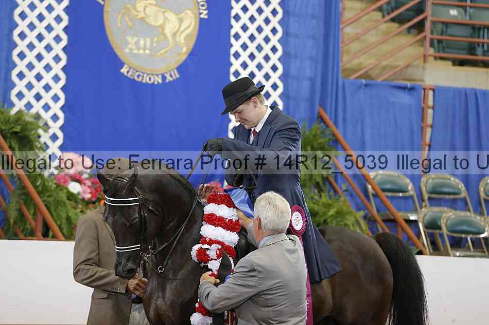 Proof Number 14r12_5039
