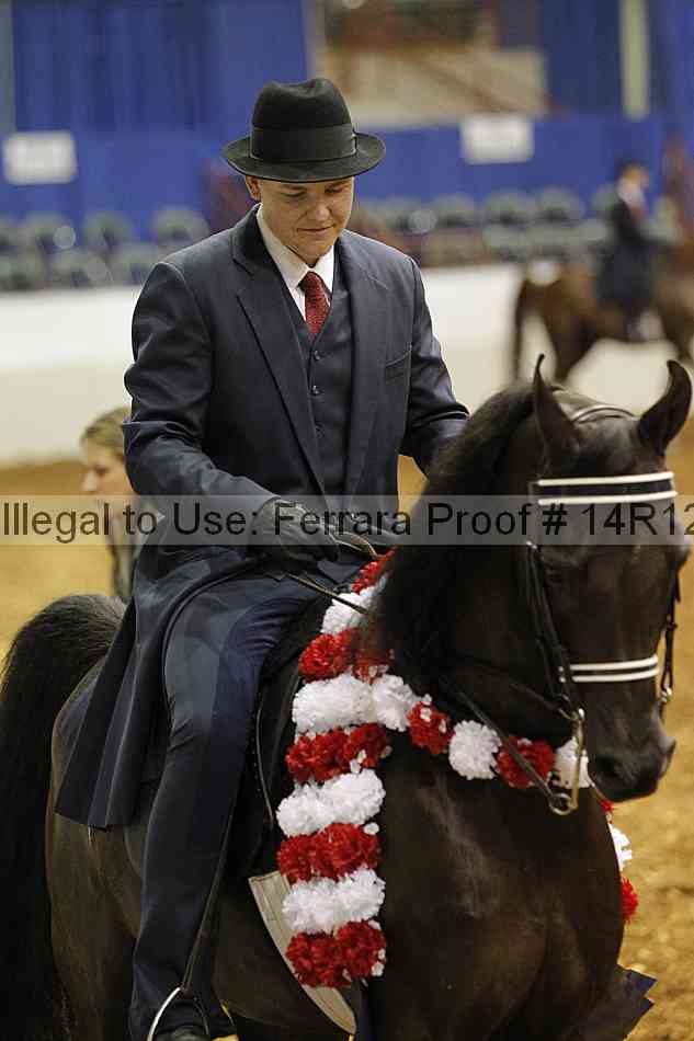 Proof Number 14r12_5043