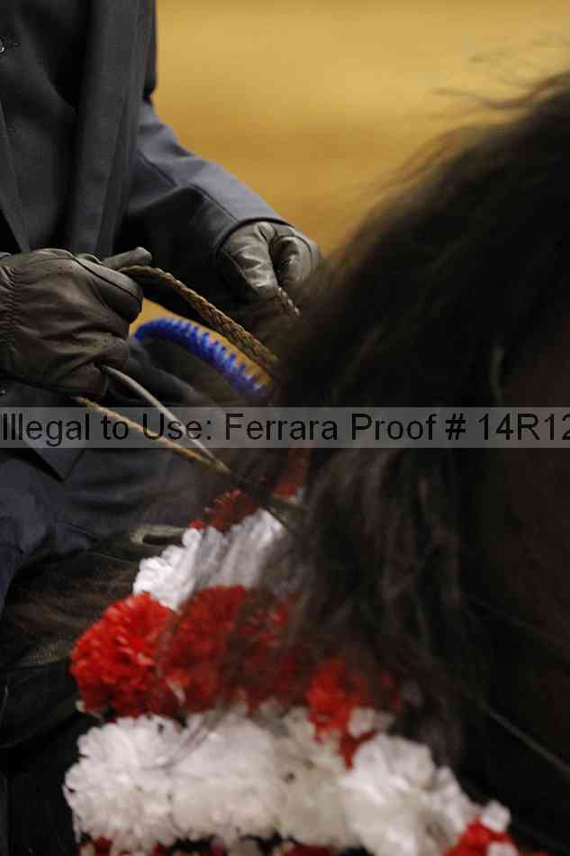 Proof Number 14r12_5045