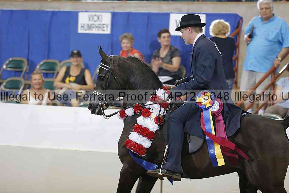 Proof Number 14r12_5048