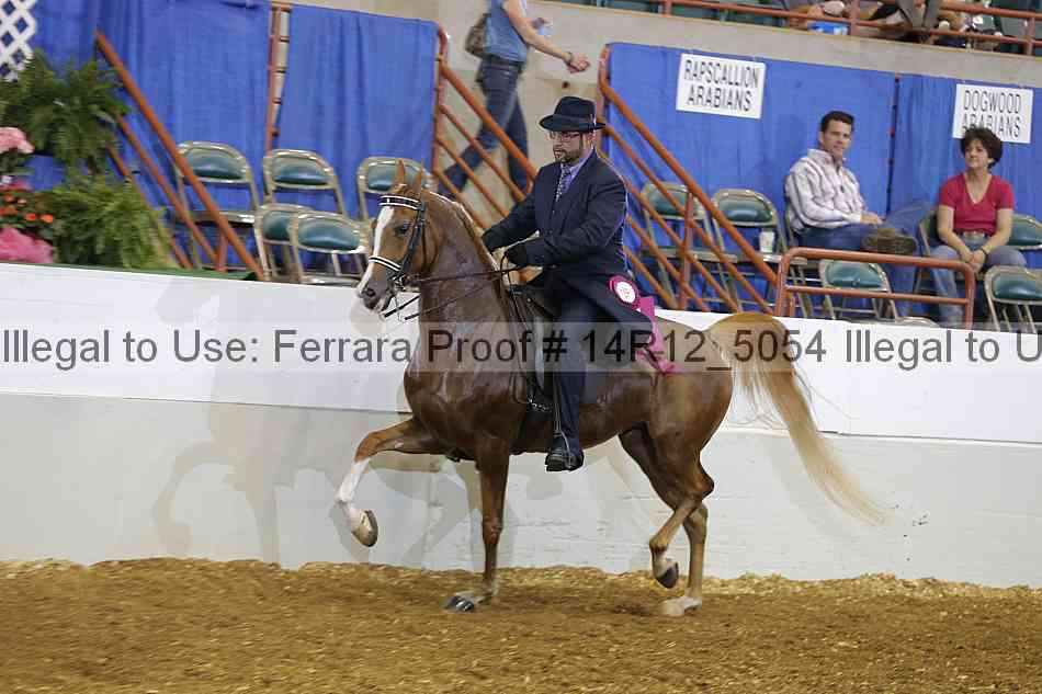Proof Number 14r12_5054