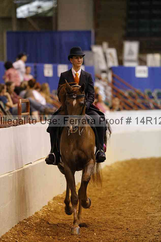 Proof Number 14r12_5061