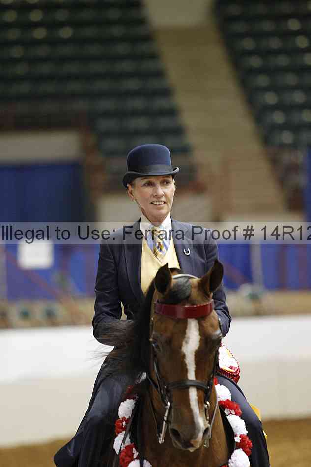 Proof Number 14r12_5063