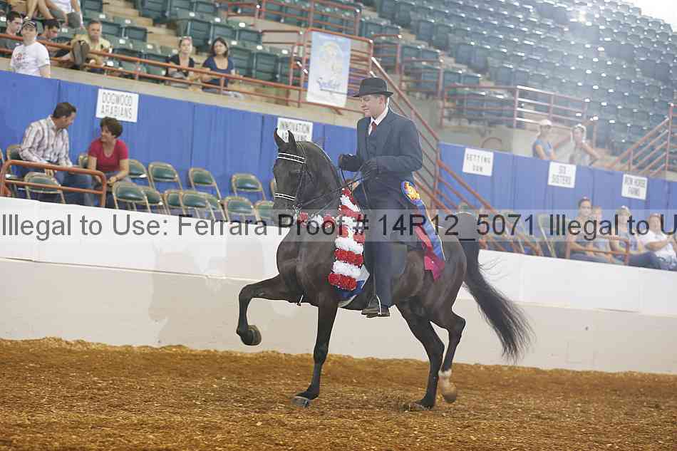 Proof Number 14r12_5071
