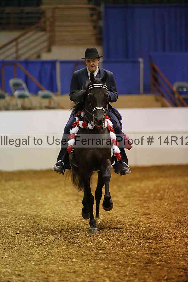 Proof Number 14r12_5075