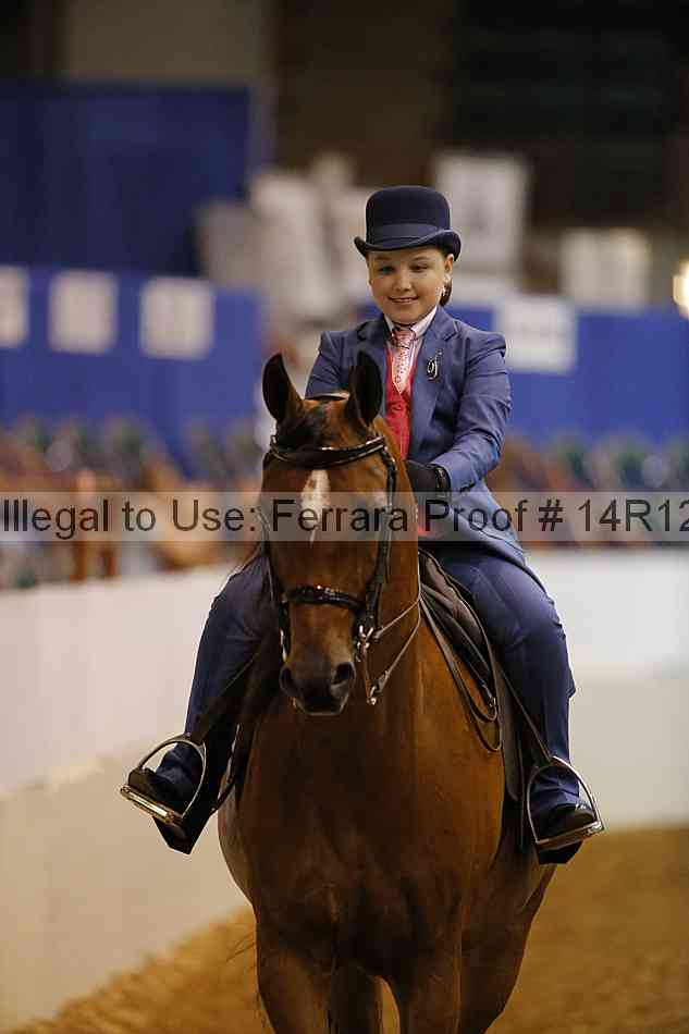 Proof Number 14r12_5090