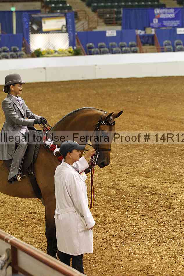Proof Number 14r12_5108