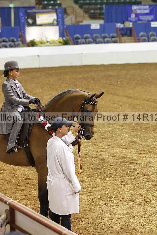 Proof Number 14r12_5109