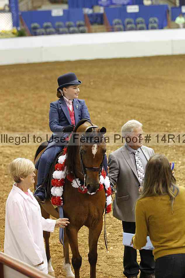 Proof Number 14r12_5117
