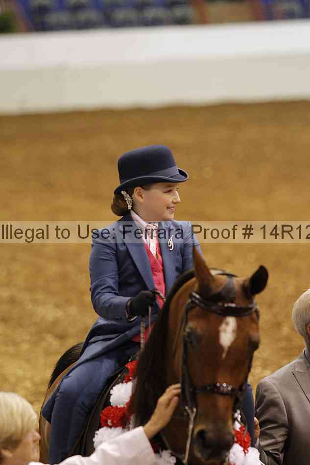 Proof Number 14r12_5119
