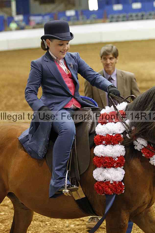 Proof Number 14r12_5125