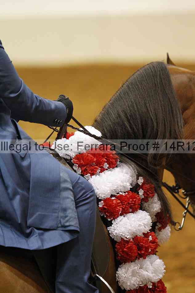 Proof Number 14r12_5127