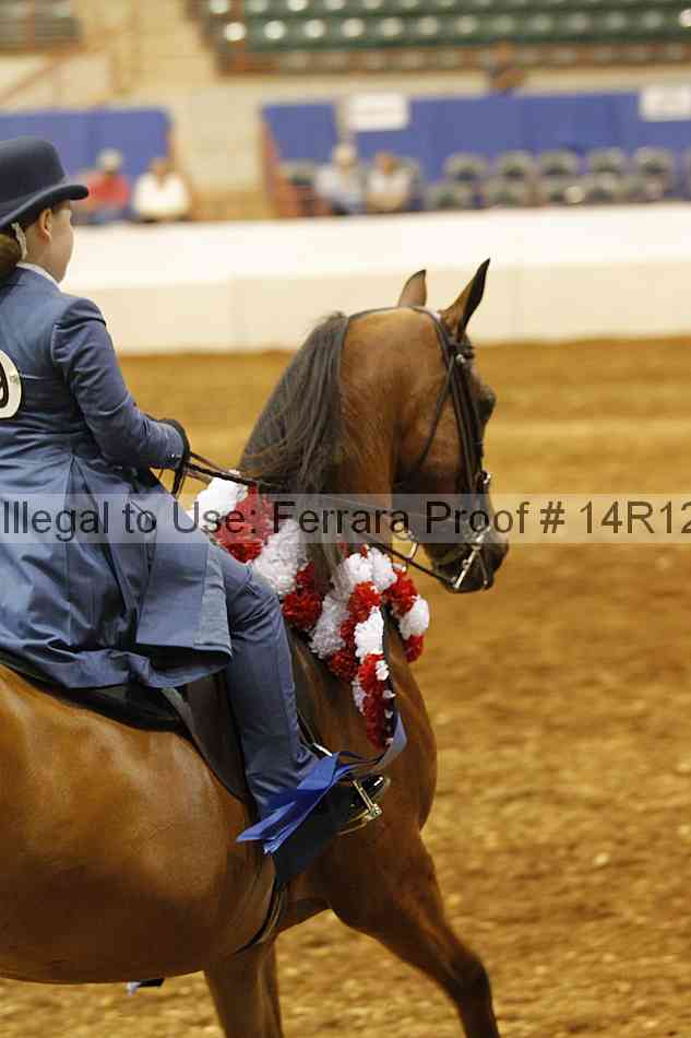 Proof Number 14r12_5131