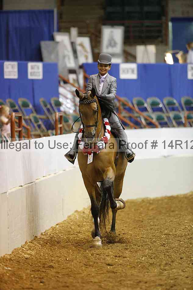 Proof Number 14r12_5132