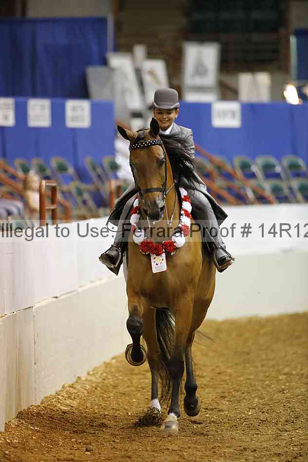 Proof Number 14r12_5133