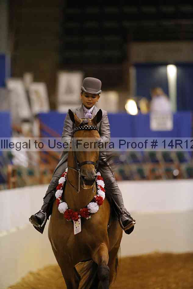 Proof Number 14r12_5135