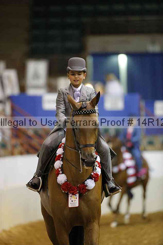 Proof Number 14r12_5136