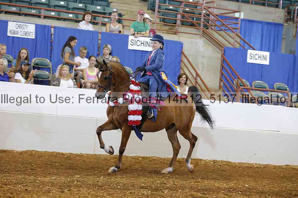 Proof Number 14r12_5137