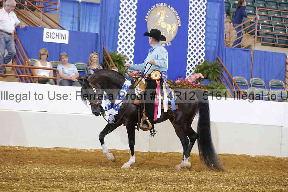 Proof Number 14r12_5161