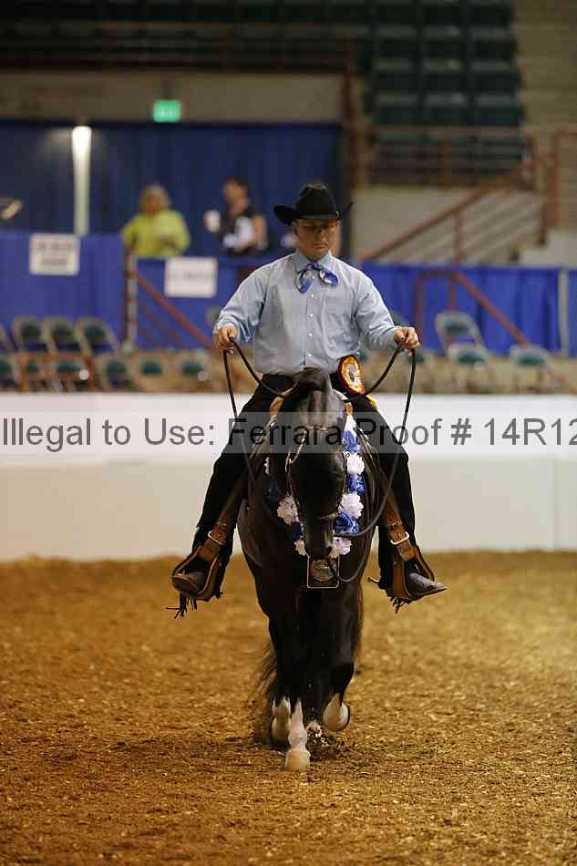 Proof Number 14r12_5165