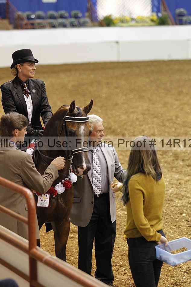 Proof Number 14r12_5198