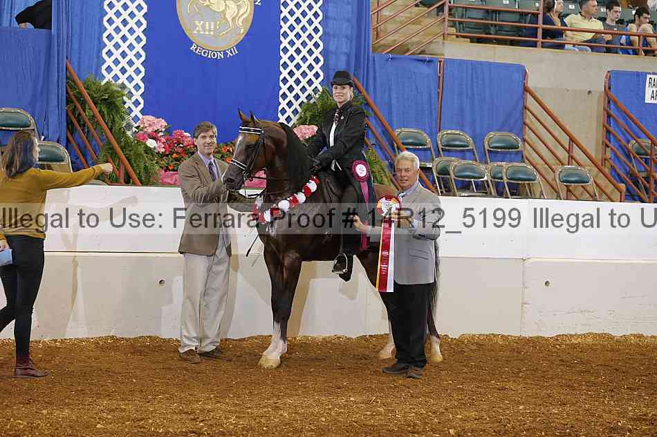 Proof Number 14r12_5199