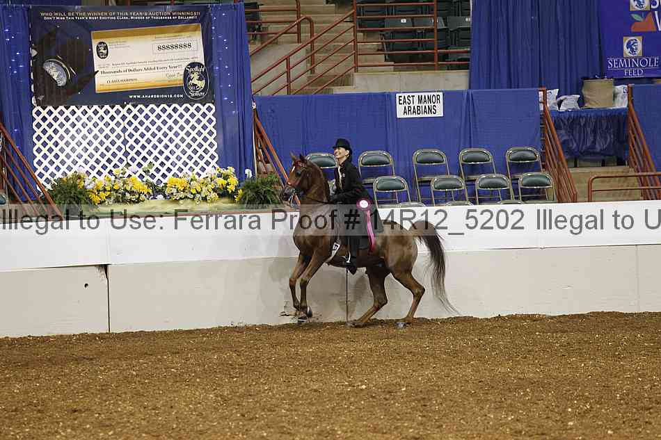 Proof Number 14r12_5202
