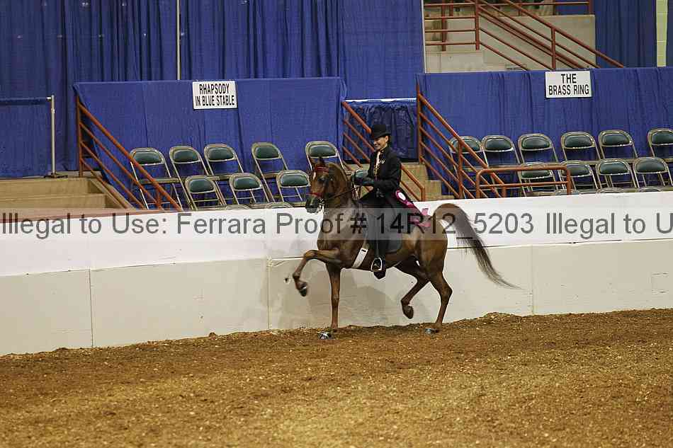 Proof Number 14r12_5203