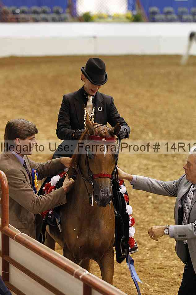 Proof Number 14r12_5205