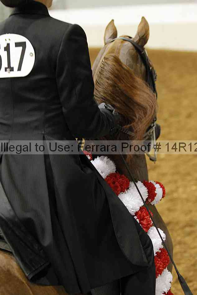 Proof Number 14r12_5210