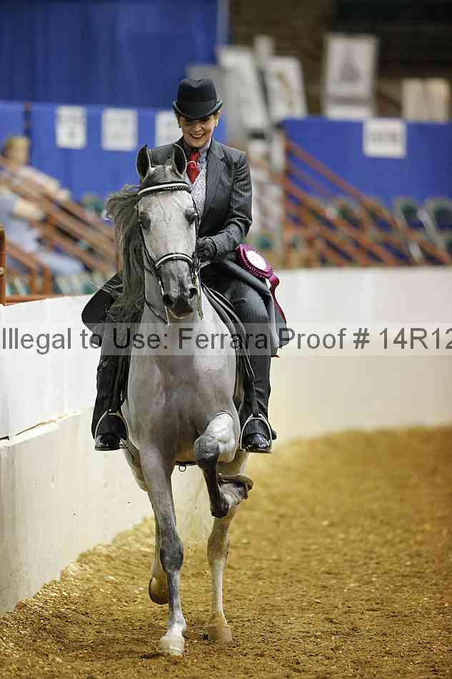 Proof Number 14r12_5217