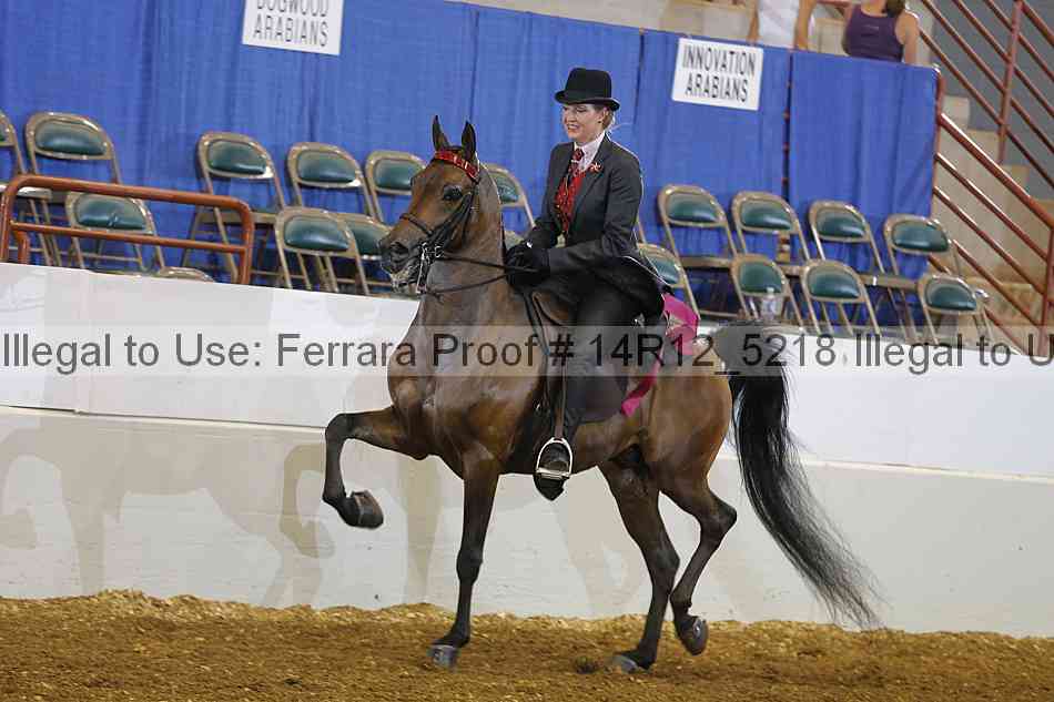 Proof Number 14r12_5218