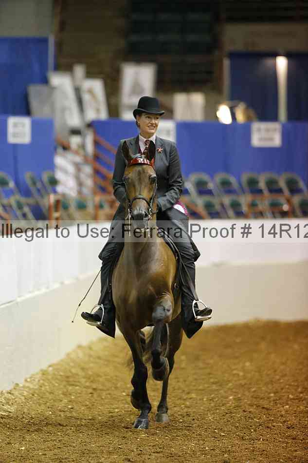 Proof Number 14r12_5220