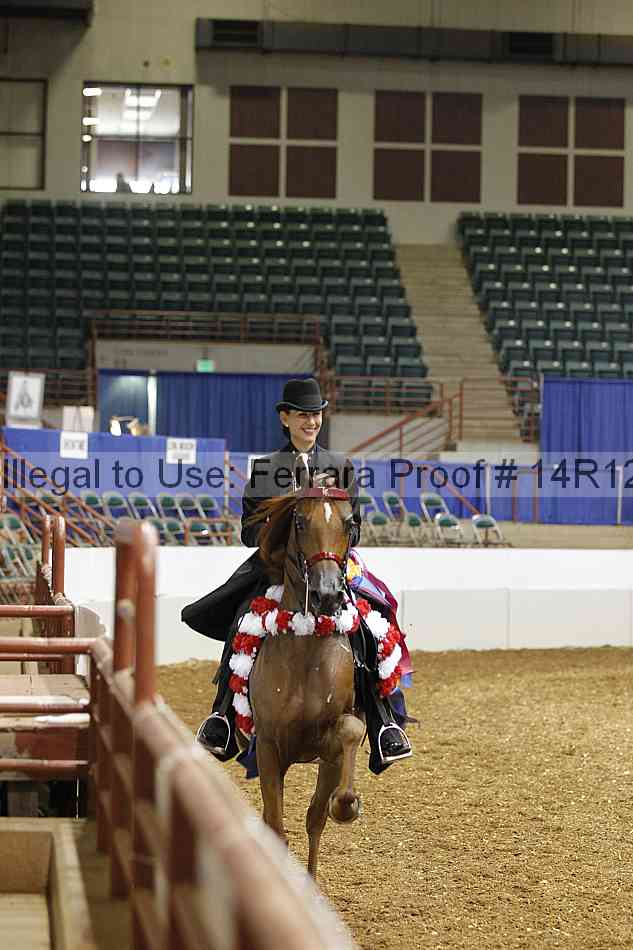 Proof Number 14r12_5226