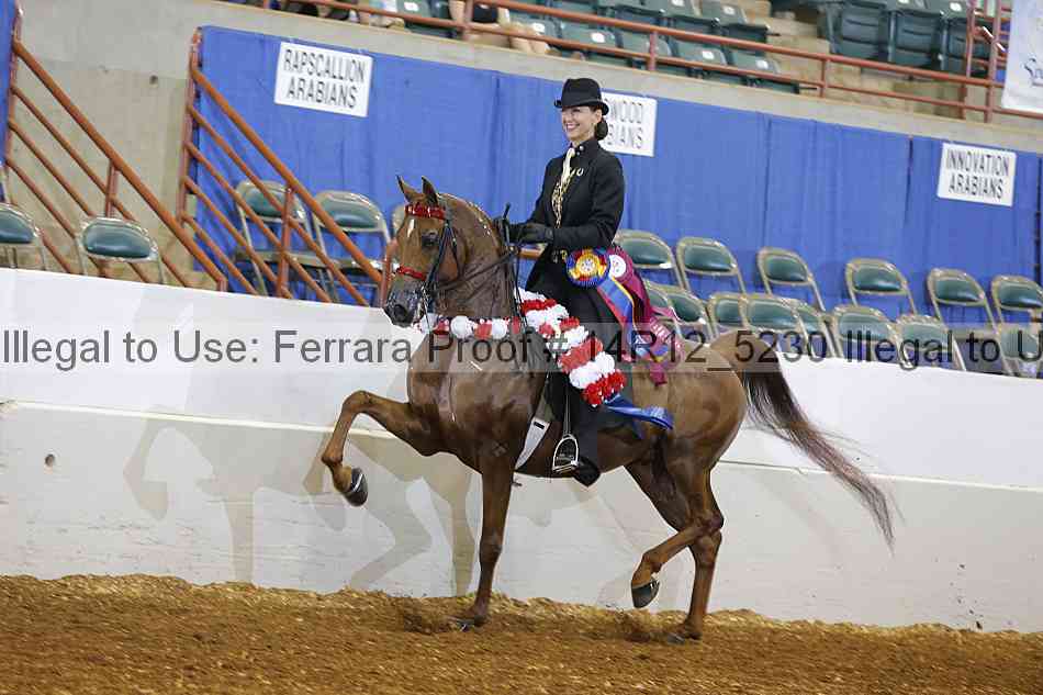 Proof Number 14r12_5230